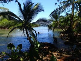 Bocas del Toro lagoon view – Best Places In The World To Retire – International Living